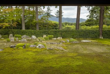 圓通寺