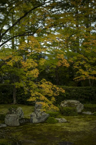 圓通寺