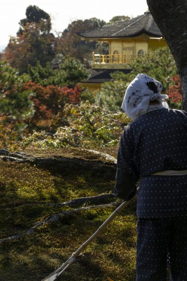 金閣寺