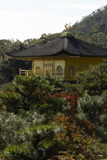 金閣寺