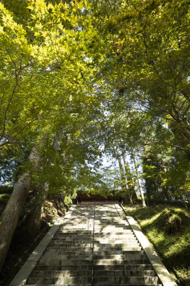 比叡山延暦寺